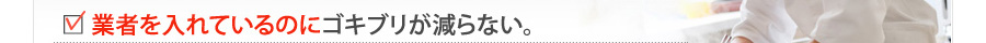 専門業者にお願いしているが、ゴキブリが減らない